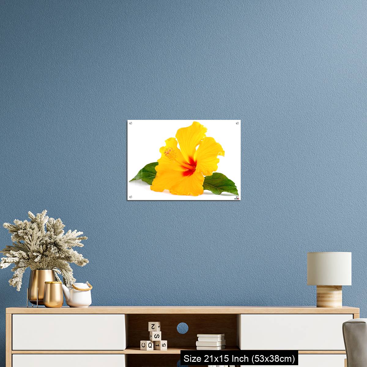 OMGs Acrylic Wall Decor – Tropical Yellow Hibiscus Flower isolated on white - Image 17