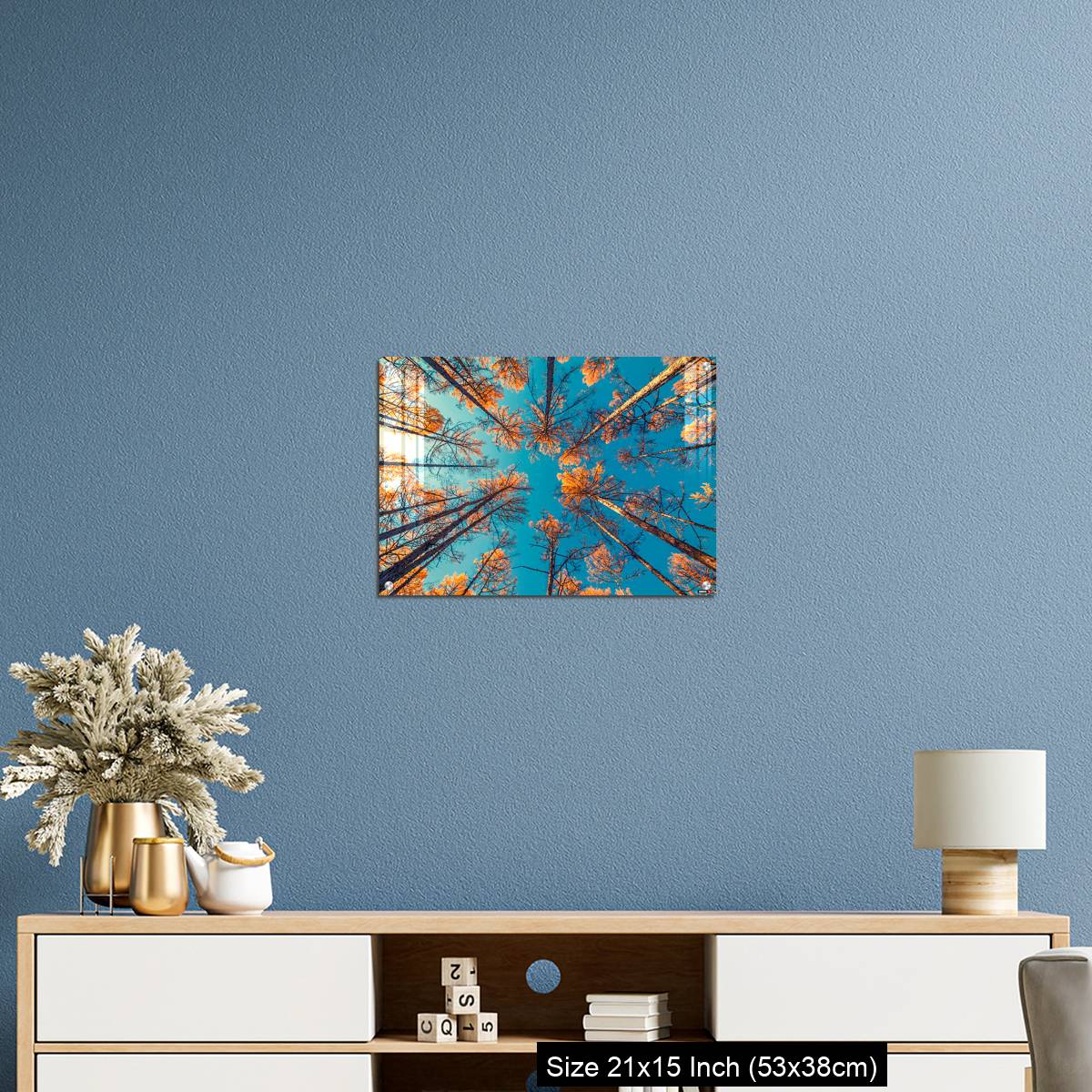 OMGs Acrylic Wall Decor – looking up at trees and clear blue sky - Image 17