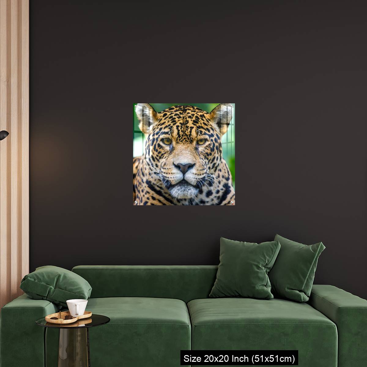 OMGs Acrylic Wall Decor – Jaguar looking at camera - Pantanal wetlands, Brazil - Image 18