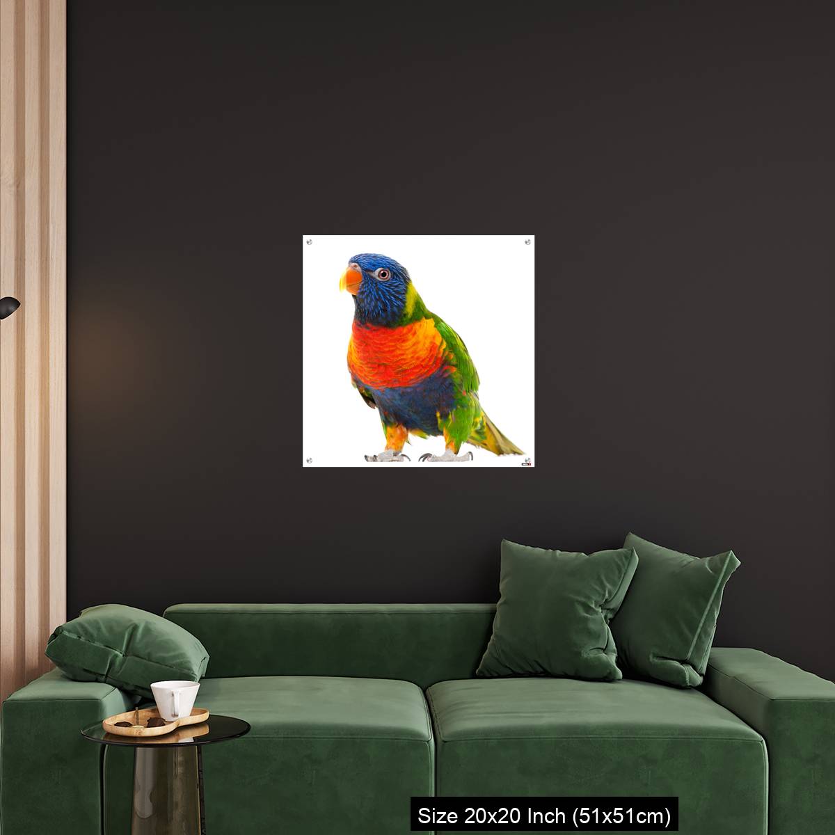 OMGs Acrylic Wall Decor – Rainbow Lorikeet, Trichoglossus haematodus - Image 18