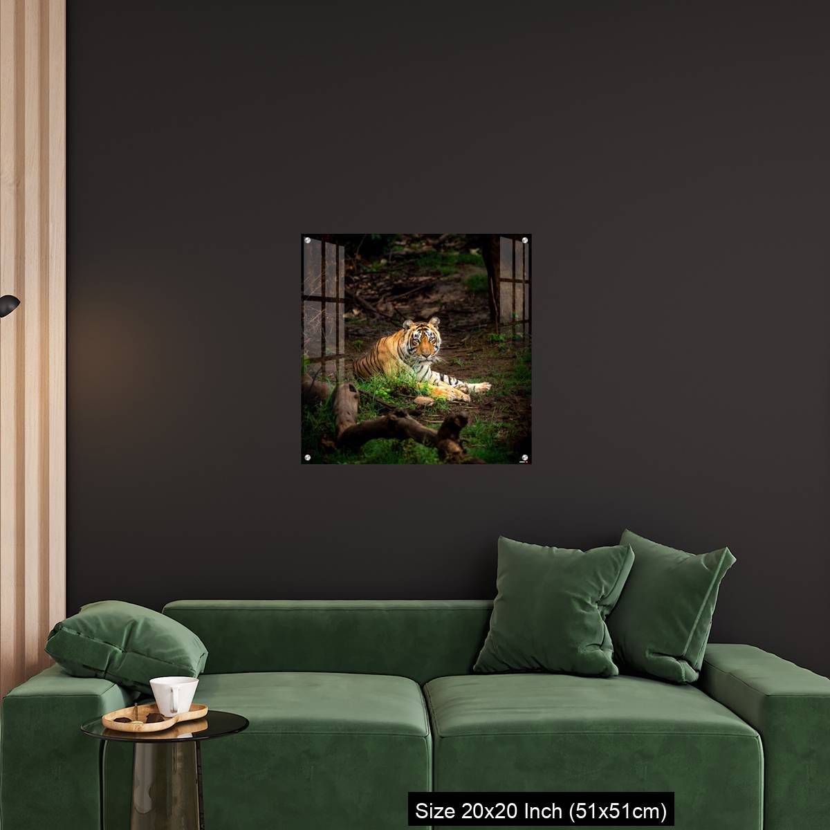 OMGs Acrylic Wall Decor – wild bengal male tiger - Image 18