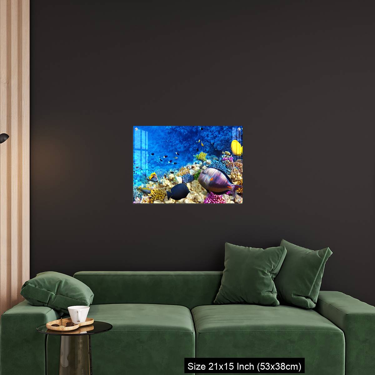 OMGs Acrylic Wall Decor – Coral and fish in the Red Sea. Egypt, Africa. - Image 18