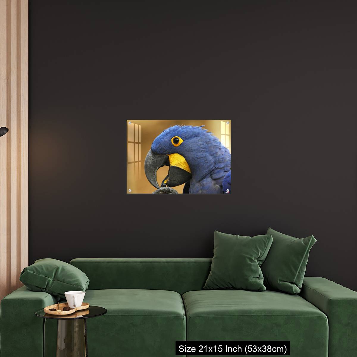 OMGs Acrylic Wall Decor – Hyacinth Macaw, anodorhynchus hyacinthinus, portrait of Adult with open Beak - Image 18