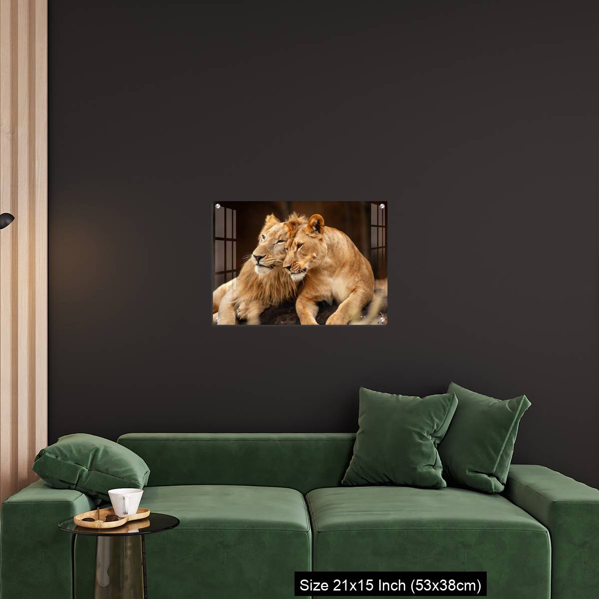 OMGs Acrylic Wall Decor – Male and Female Lions  lying down together on the ground - Image 18