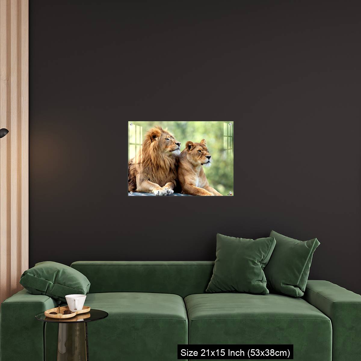 OMGs Acrylic Wall Decor – Pair of adult Lions in zoological garden - Image 18