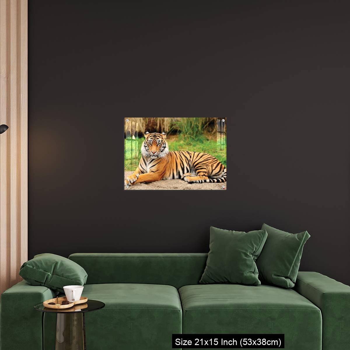 OMGs Acrylic Wall Decor – Royal Bengal Tiger alert and Staring at the Camera - Image 18