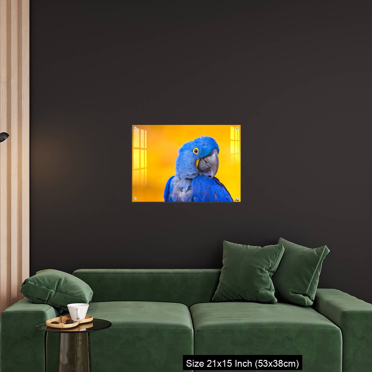 OMGs Acrylic Wall Decor – Portrait of big blue parrot Hyacinth Macaw - Image 18