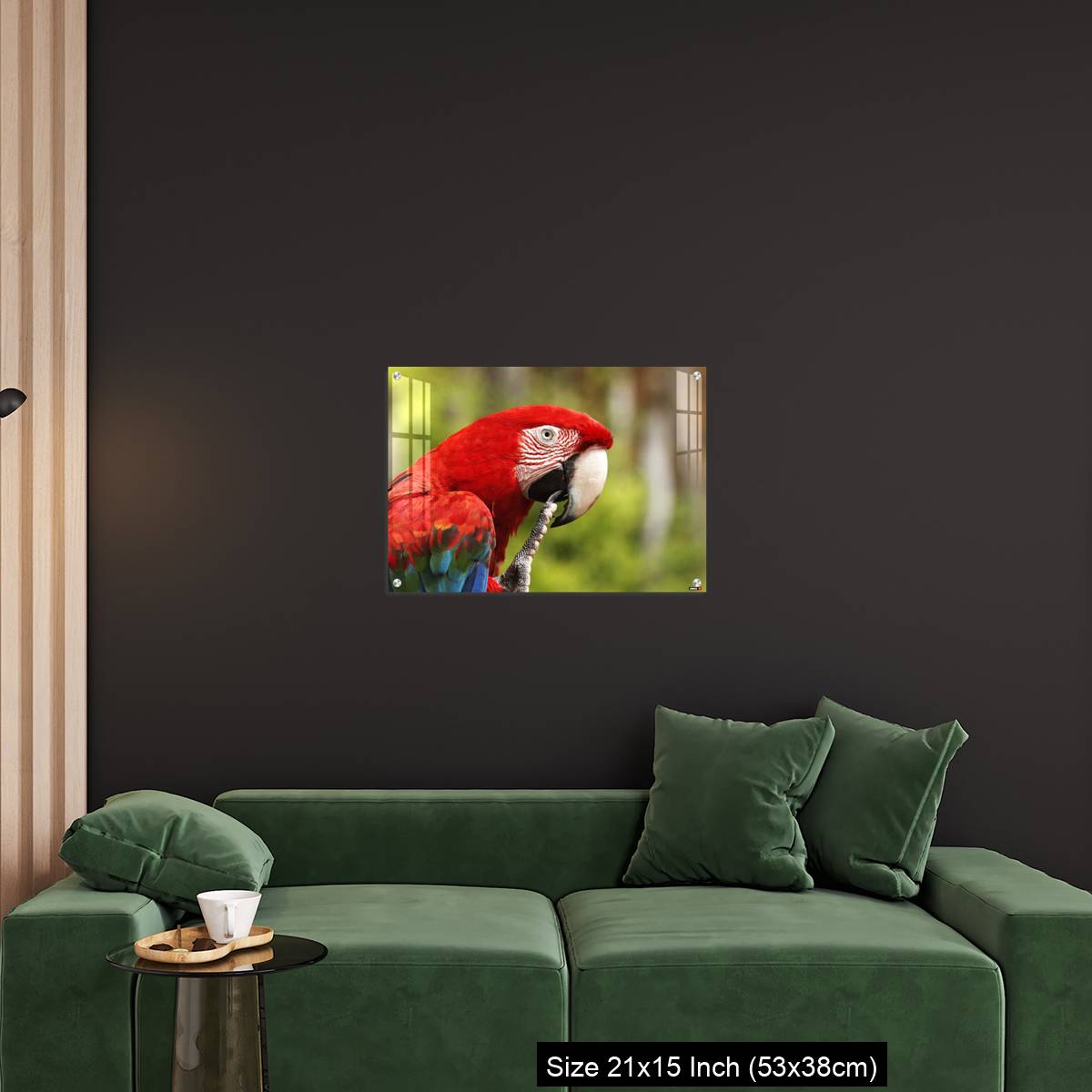 OMGs Acrylic Wall Decor – Red-and-Green Macaw, ara chloroptera, Portrait of Adult - Image 18