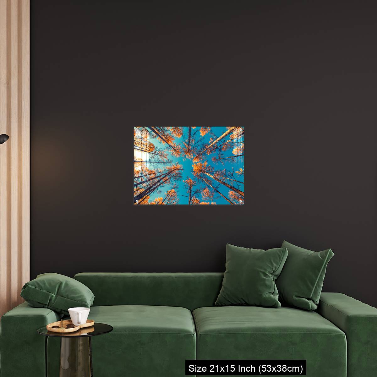 OMGs Acrylic Wall Decor – looking up at trees and clear blue sky - Image 18