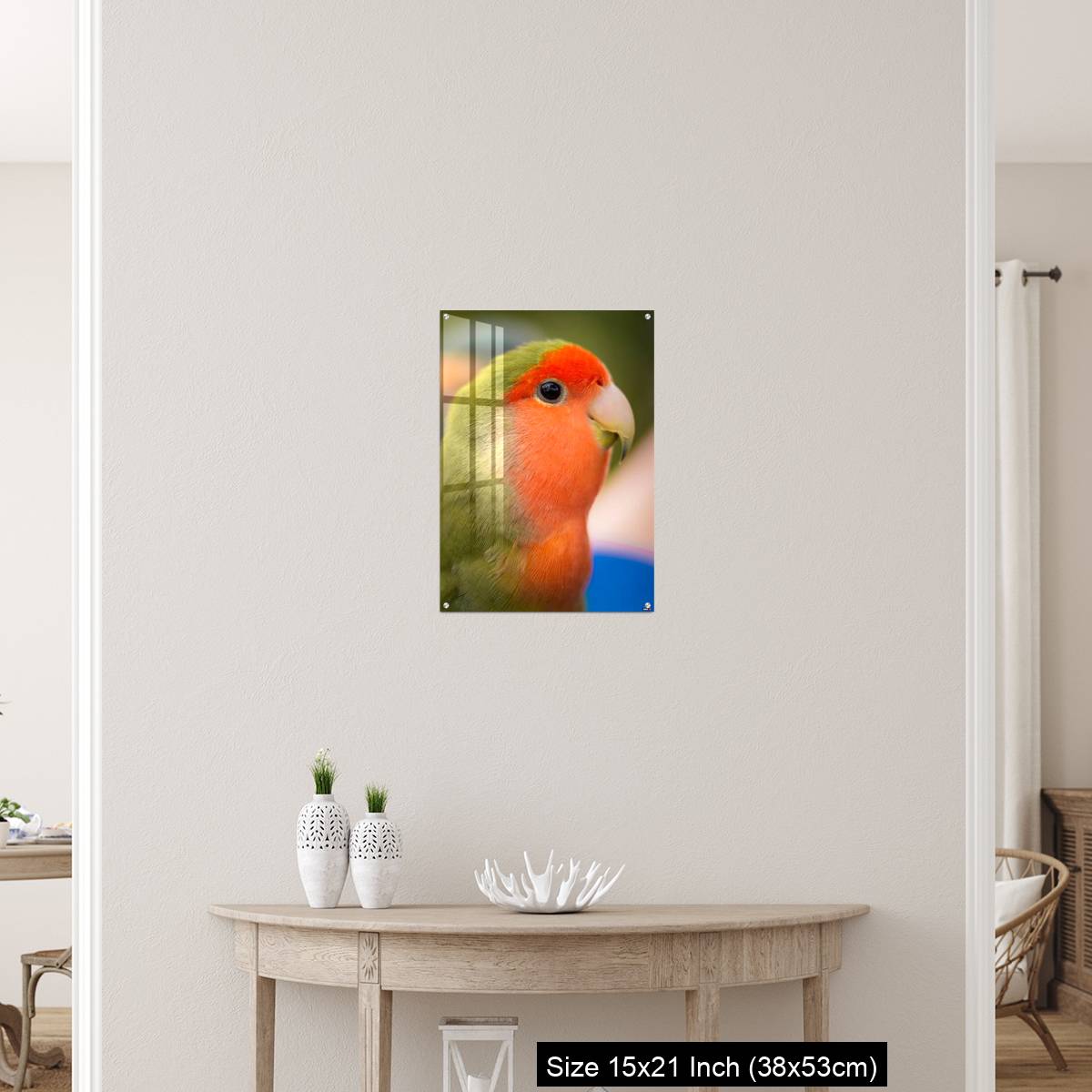 OMGs Acrylic Wall Decor – Vibrant rosy-faced lovebird - Image 19