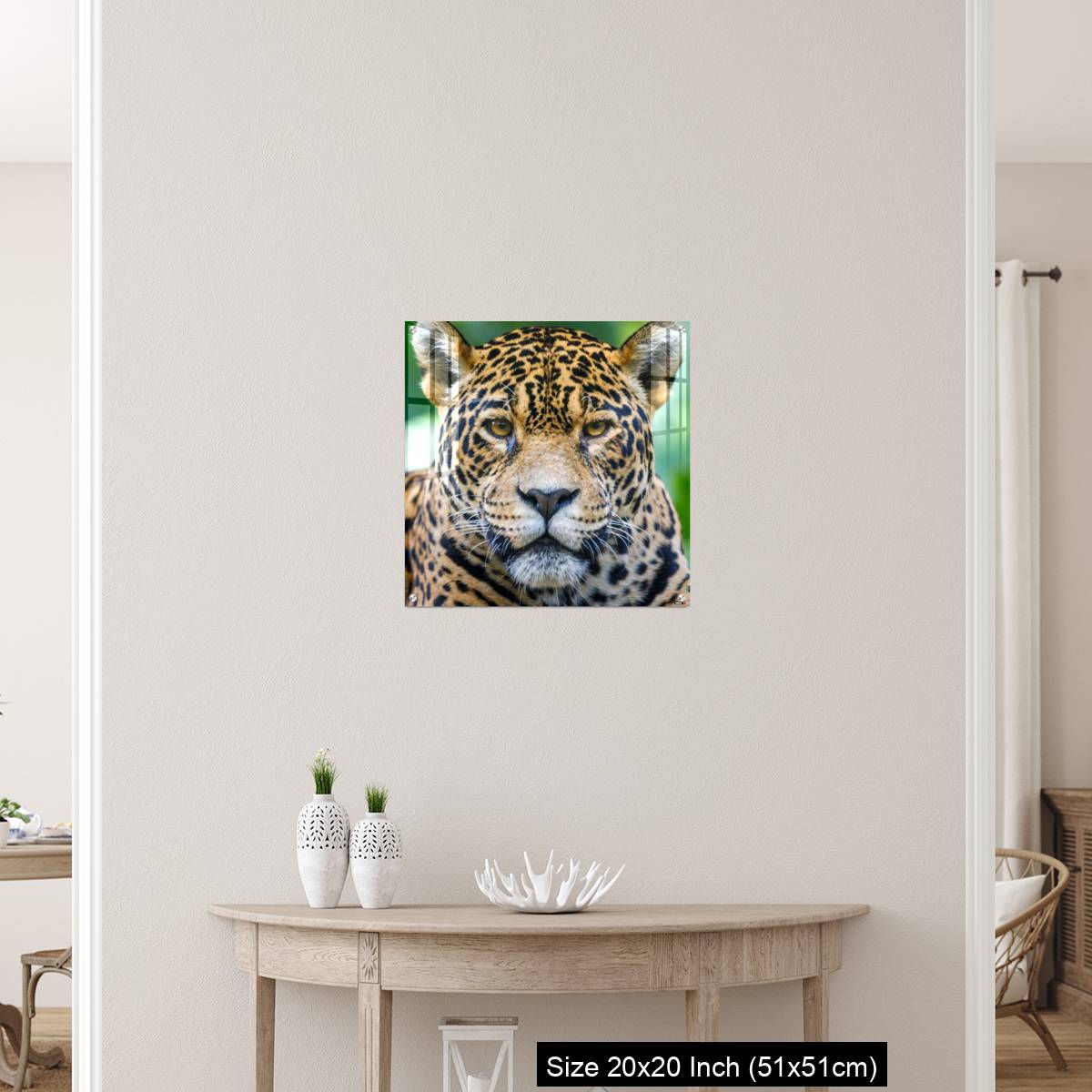 OMGs Acrylic Wall Decor – Jaguar looking at camera - Pantanal wetlands, Brazil - Image 19