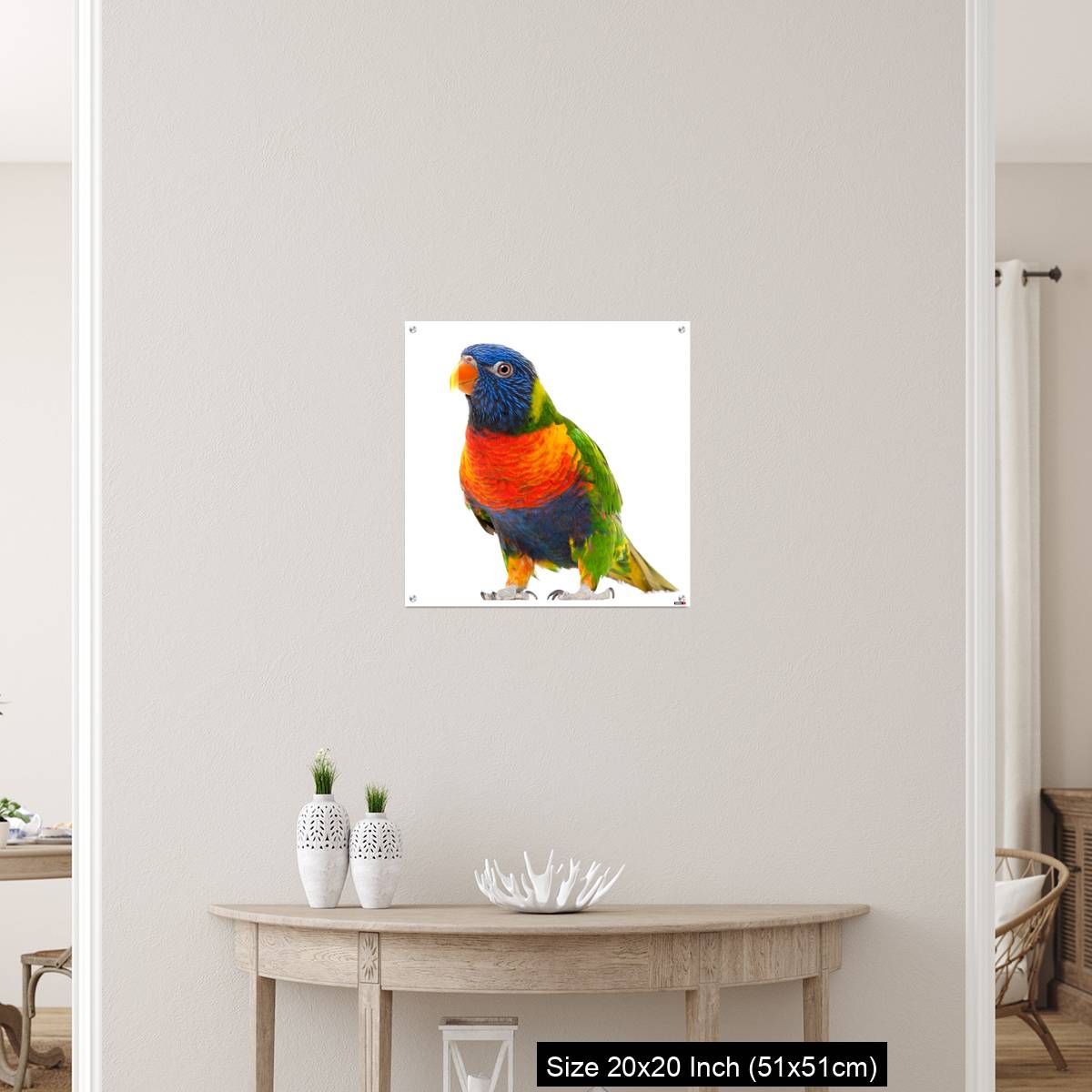 OMGs Acrylic Wall Decor – Rainbow Lorikeet, Trichoglossus haematodus - Image 19
