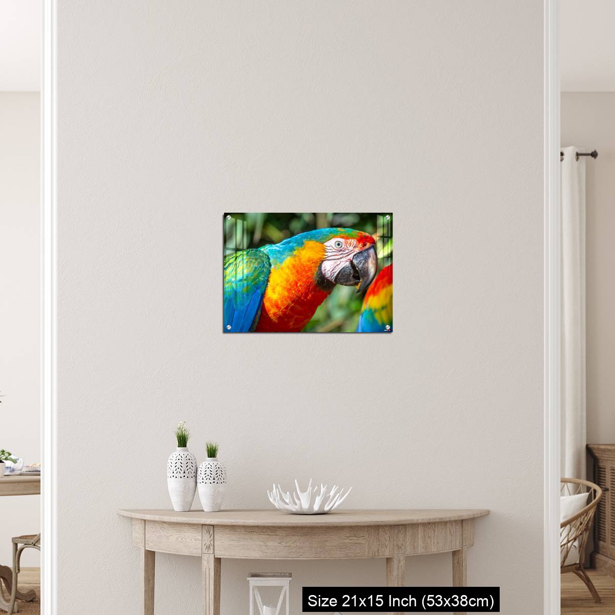 OMGs Acrylic Wall Decor – Colorful Macaw parrot looking at camera in Brazil - Image 19