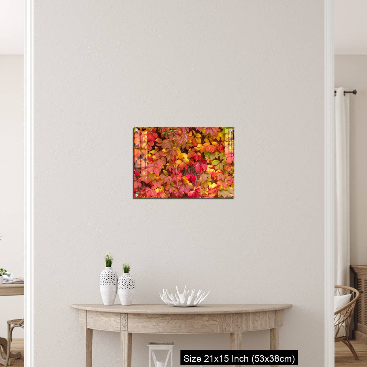 OMGs Acrylic Wall Decor – False Virginia creeper Parthenocissus inserta foliage in autumn colors - Image 19