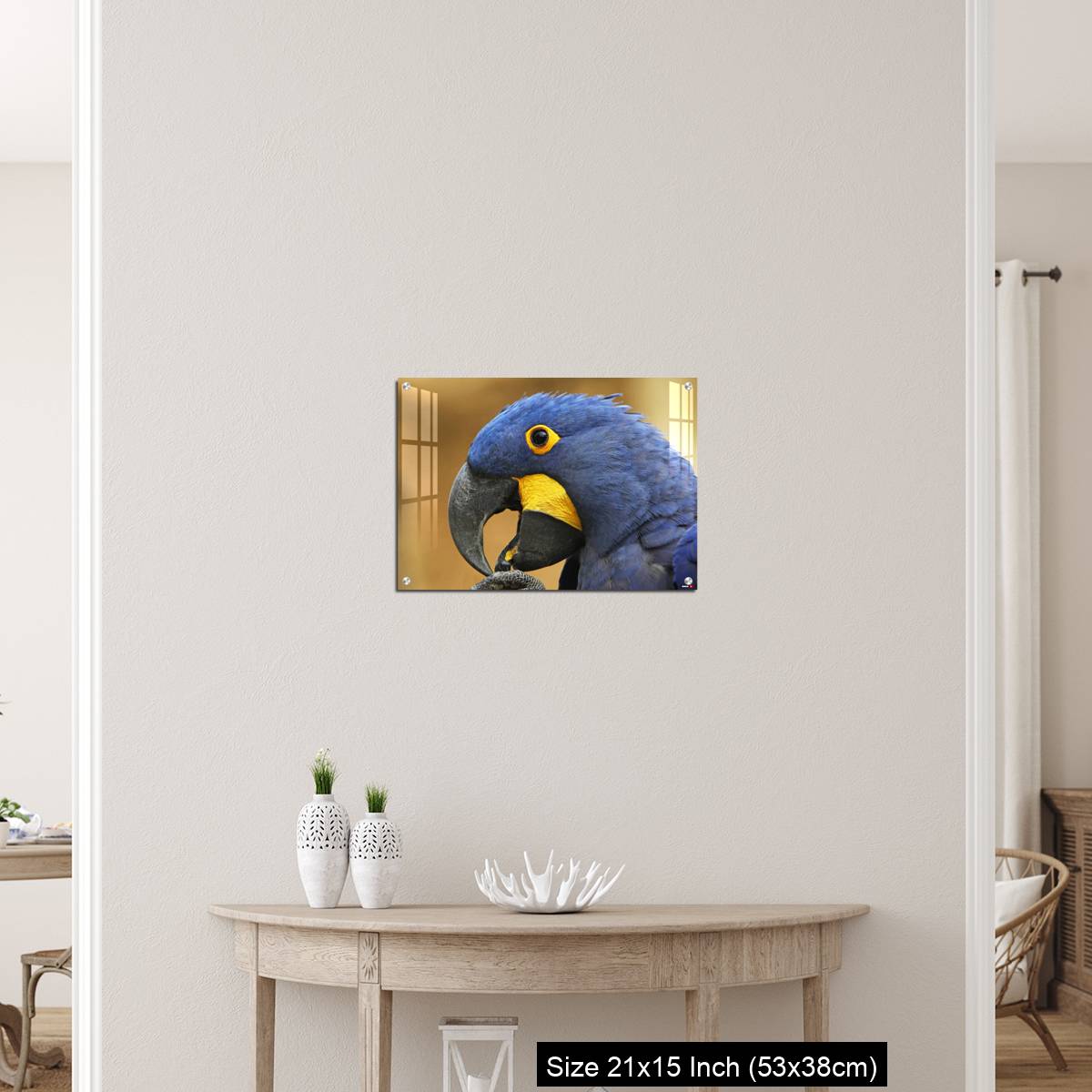OMGs Acrylic Wall Decor – Hyacinth Macaw, anodorhynchus hyacinthinus, portrait of Adult with open Beak - Image 19