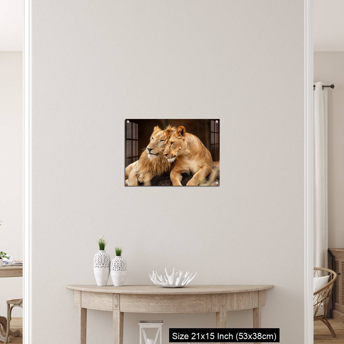 OMGs Acrylic Wall Decor – Male and Female Lions  lying down together on the ground - Image 19