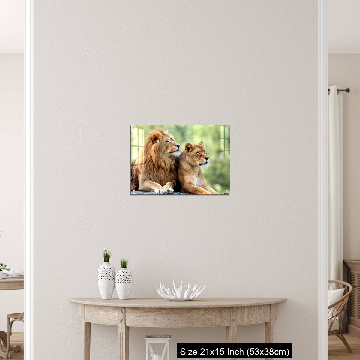 OMGs Acrylic Wall Decor – Pair of adult Lions in zoological garden - Image 19