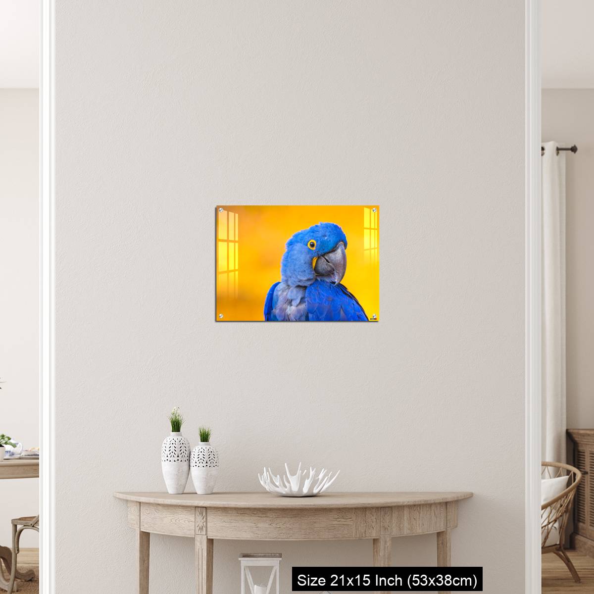 OMGs Acrylic Wall Decor – Portrait of big blue parrot Hyacinth Macaw - Image 19