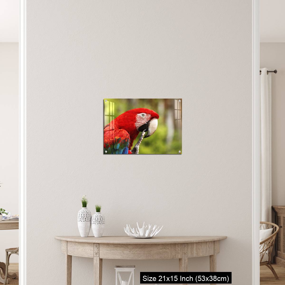 OMGs Acrylic Wall Decor – Red-and-Green Macaw, ara chloroptera, Portrait of Adult - Image 19