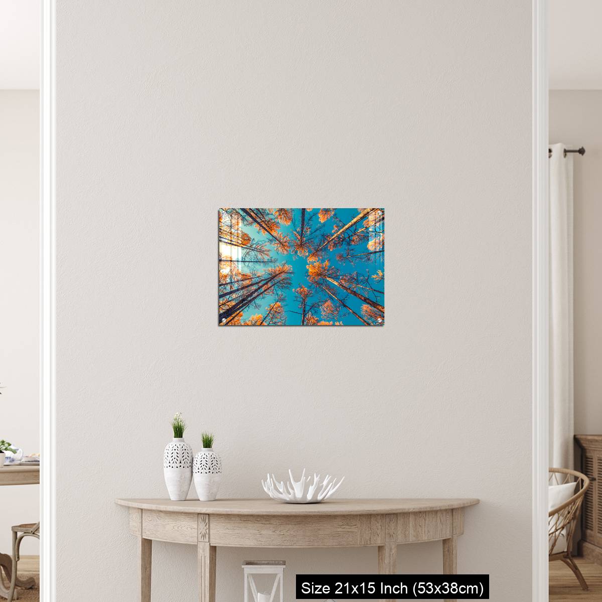 OMGs Acrylic Wall Decor – looking up at trees and clear blue sky - Image 19