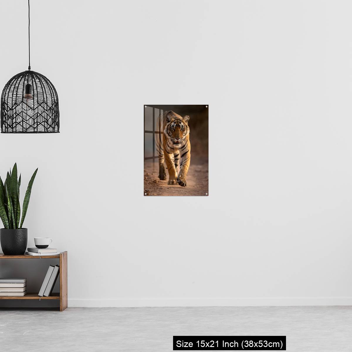 OMGs Acrylic Wall Decor – A young tigress walks - Image 20