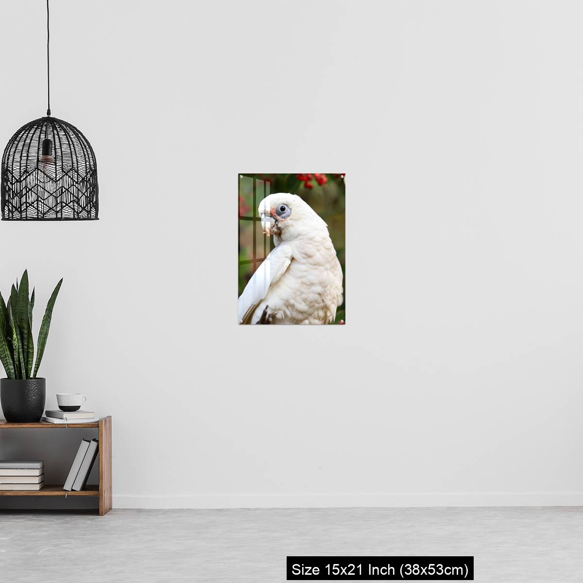 OMGs Acrylic Wall Decor – Close up of a Corella Feeding in a Tree - Image 20