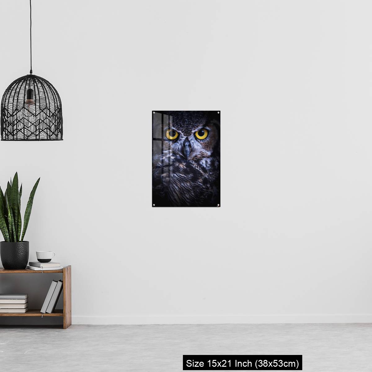 OMGs Acrylic Wall Decor – Intense Eye Contact from a Great-Horned Owl - Image 20