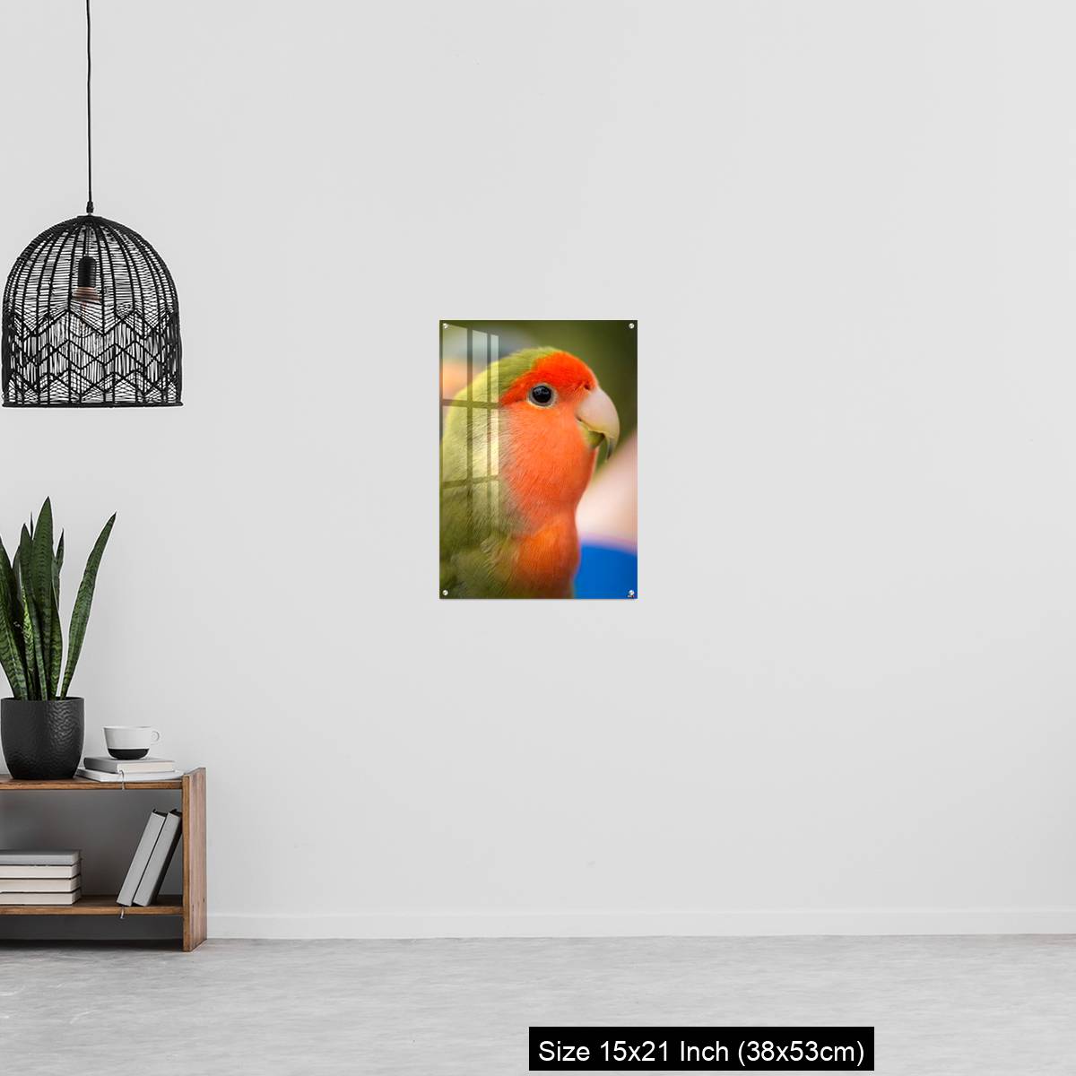 OMGs Acrylic Wall Decor – Vibrant rosy-faced lovebird - Image 20