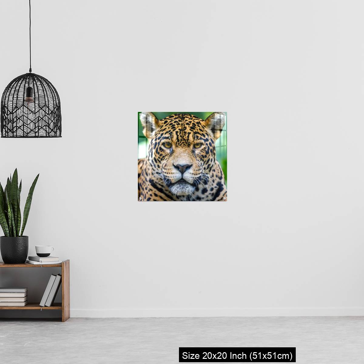 OMGs Acrylic Wall Decor – Jaguar looking at camera - Pantanal wetlands, Brazil - Image 20