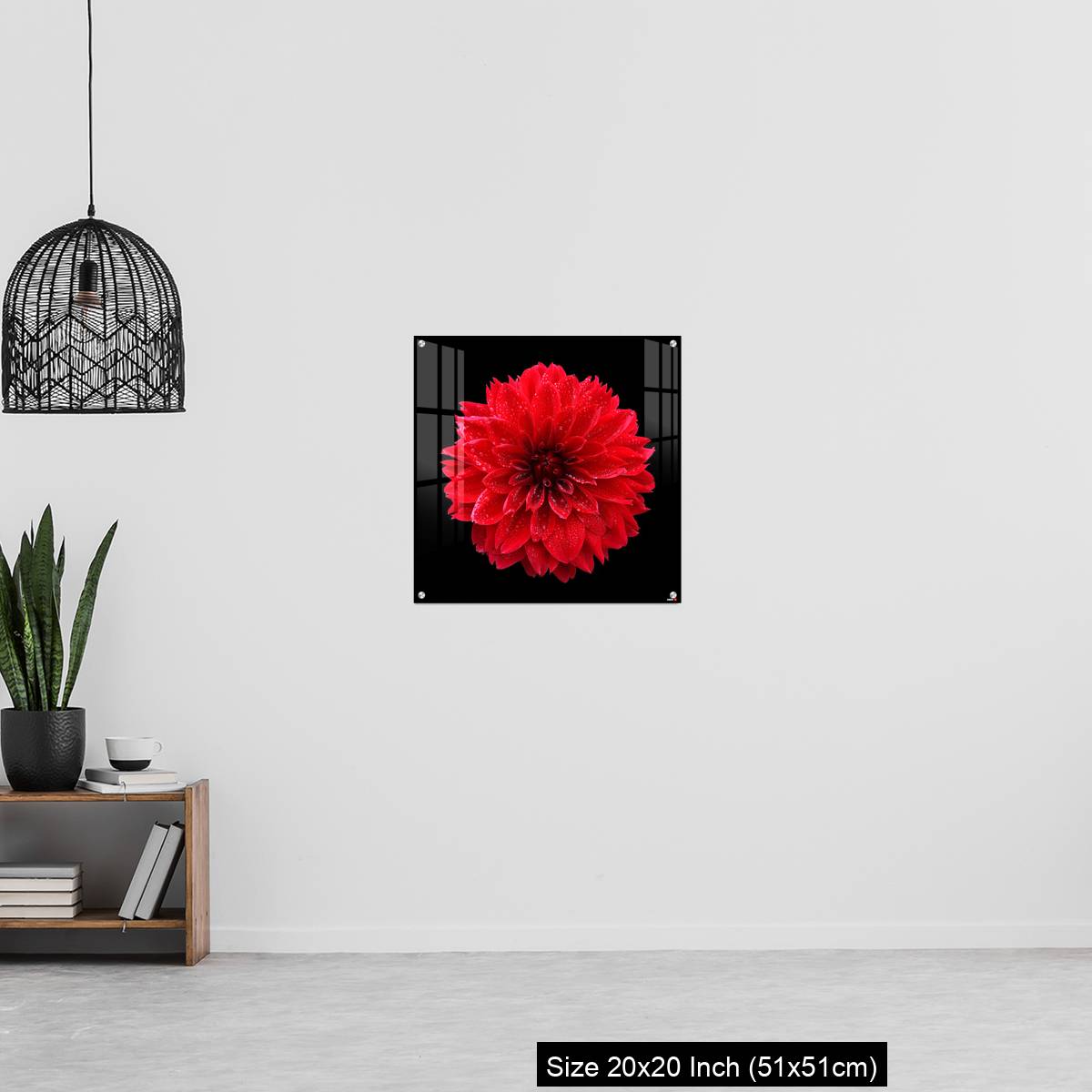 OMGs Acrylic Wall Decor – Red dahlia,like a ball of fire,on black background - Image 20