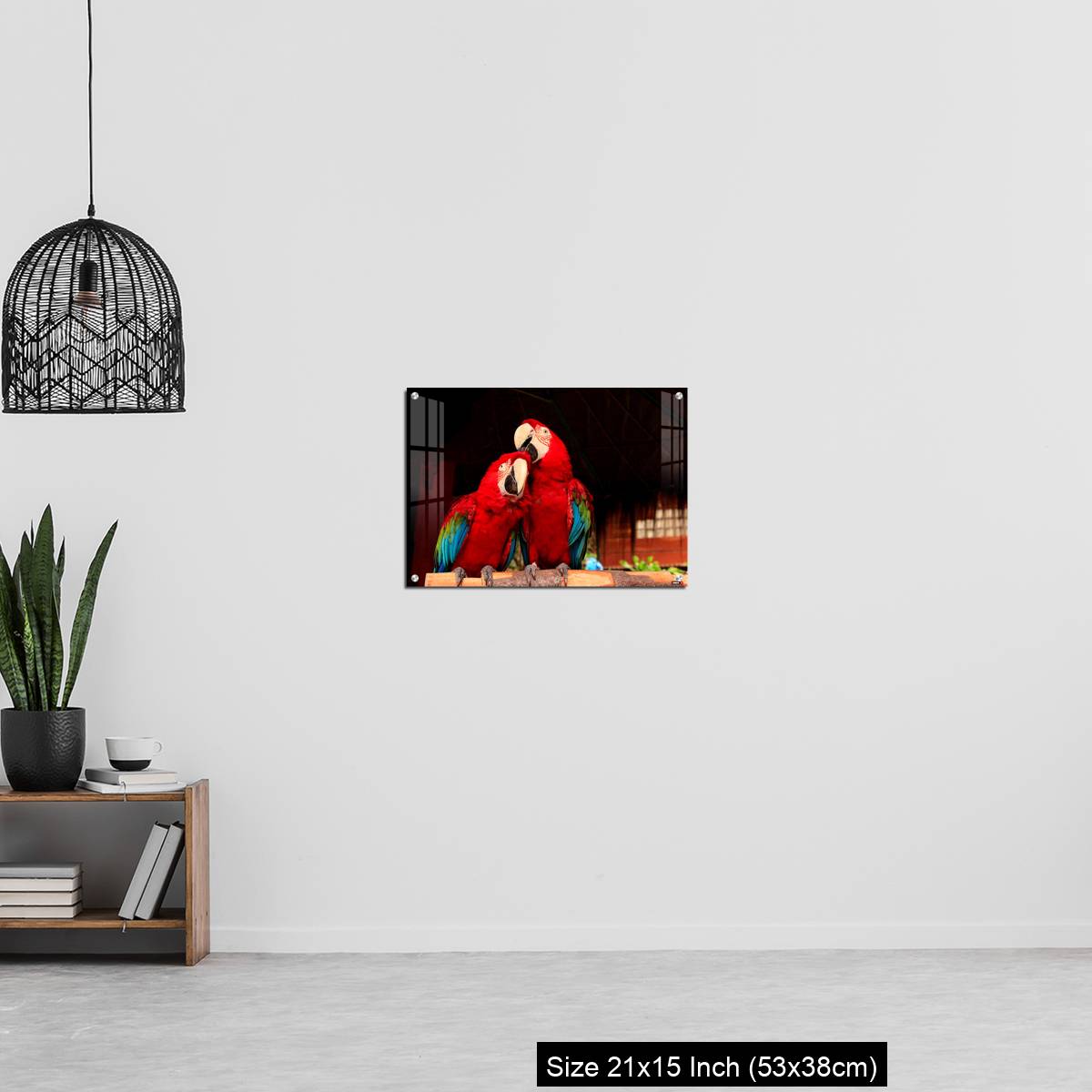 OMGs Acrylic Wall Decor – A  Macaw Bird Teasing His Friend’s Head - Image 20