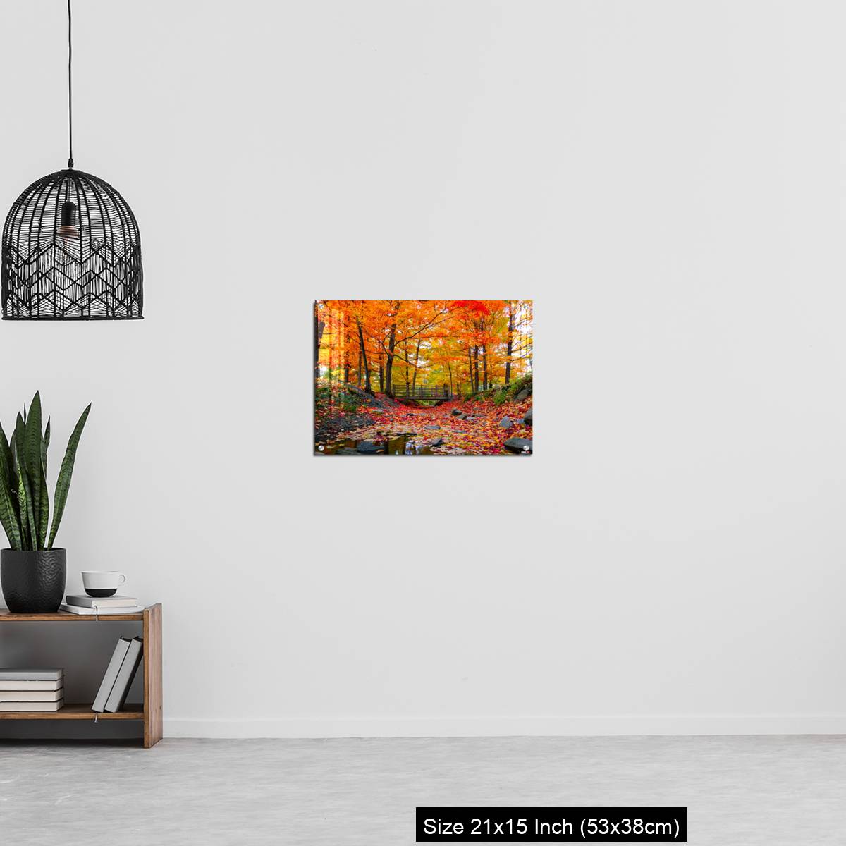 OMGs Acrylic Wall Decor – Beautiful fall foliage in the northeast USA - Image 20