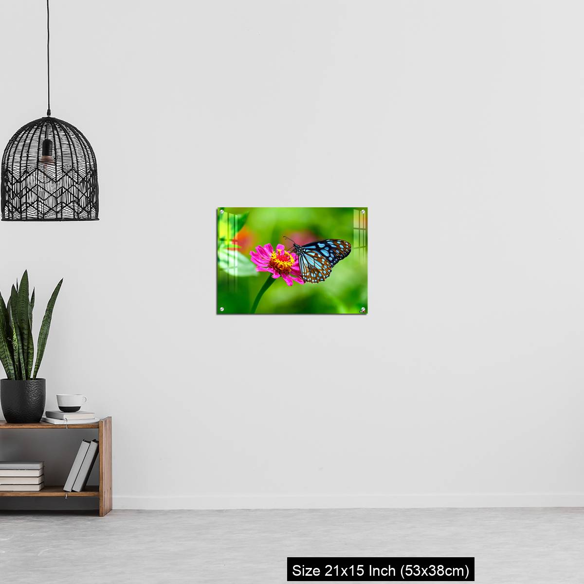OMGs Acrylic Wall Decor – Blue tiger butterfly on a pink zinnia flower with green background - Image 20