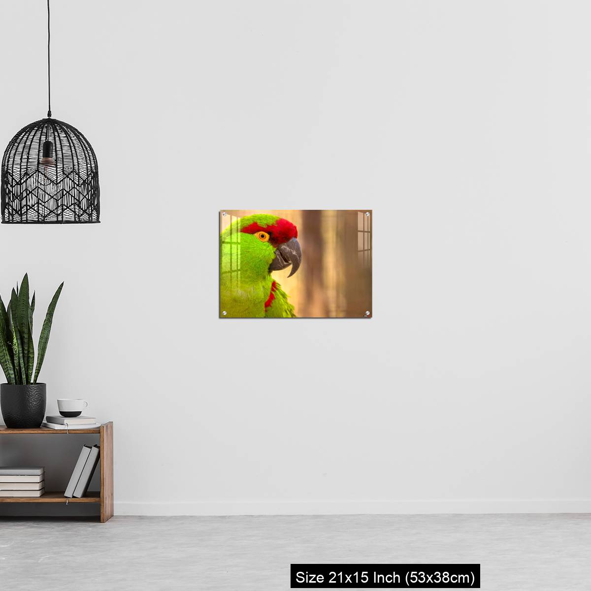 OMGs Acrylic Wall Decor – Close-up portrait of a thick billed parrot - Image 20