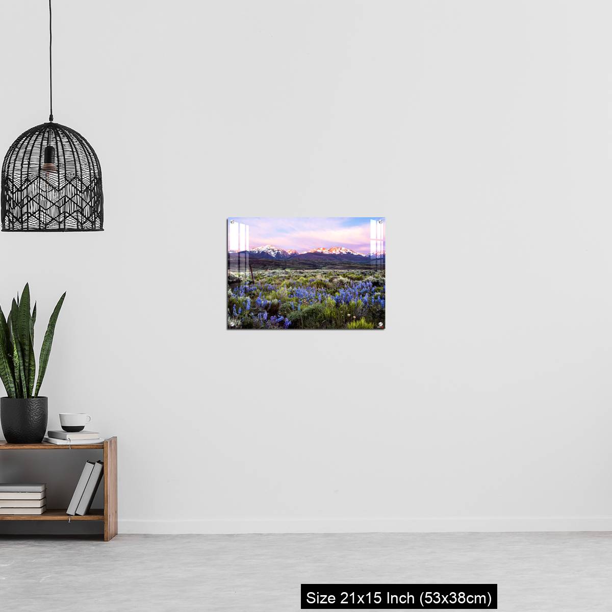 OMGs Acrylic Wall Decor – Colorado wildflowers and the gore range - Image 20