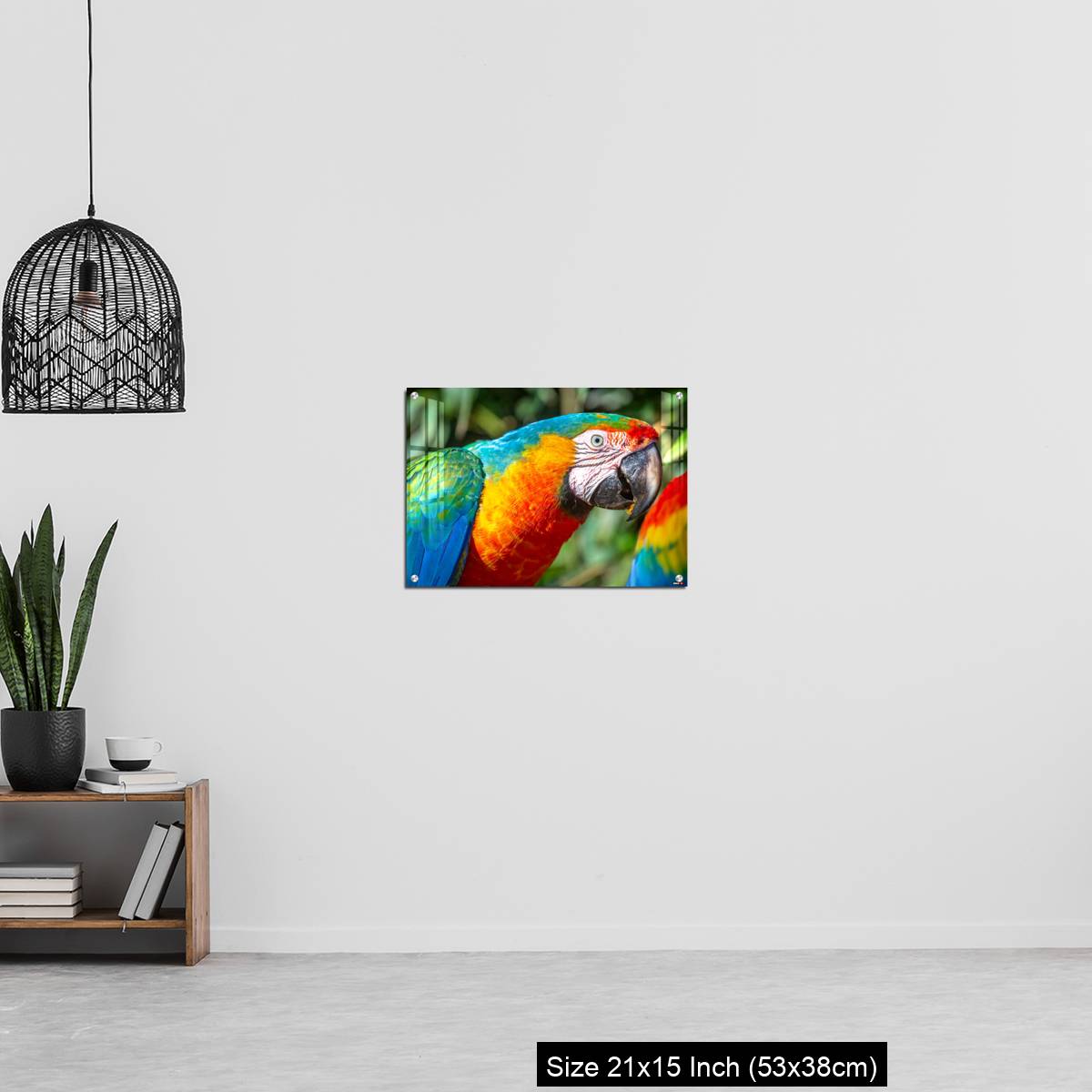 OMGs Acrylic Wall Decor – Colorful Macaw parrot looking at camera in Brazil - Image 20