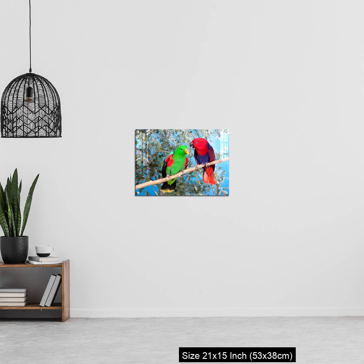 OMGs Acrylic Wall Decor – Eclectus Parrot, eclectus roratus, Pair standing on Branch, Male (green) and Female (Red) - Image 20