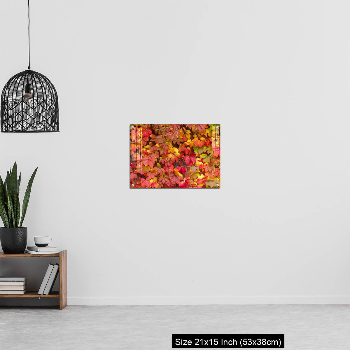 OMGs Acrylic Wall Decor – False Virginia creeper Parthenocissus inserta foliage in autumn colors - Image 20