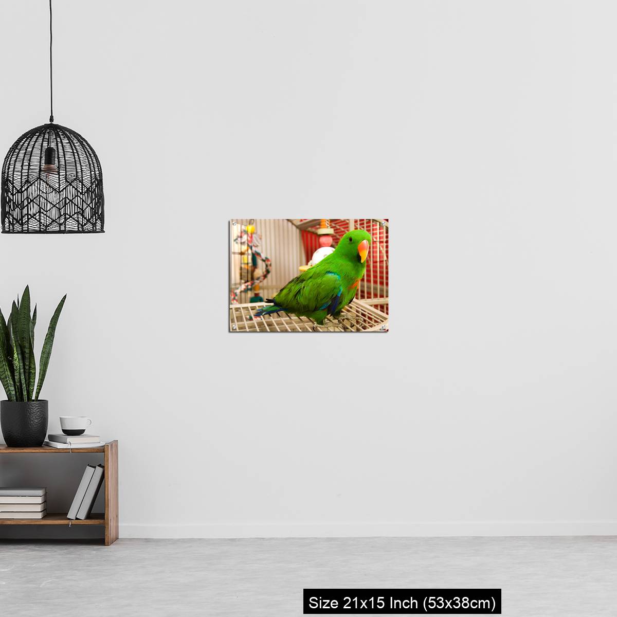 OMGs Acrylic Wall Decor – Green parrot perched on the open door of its cage - Image 20