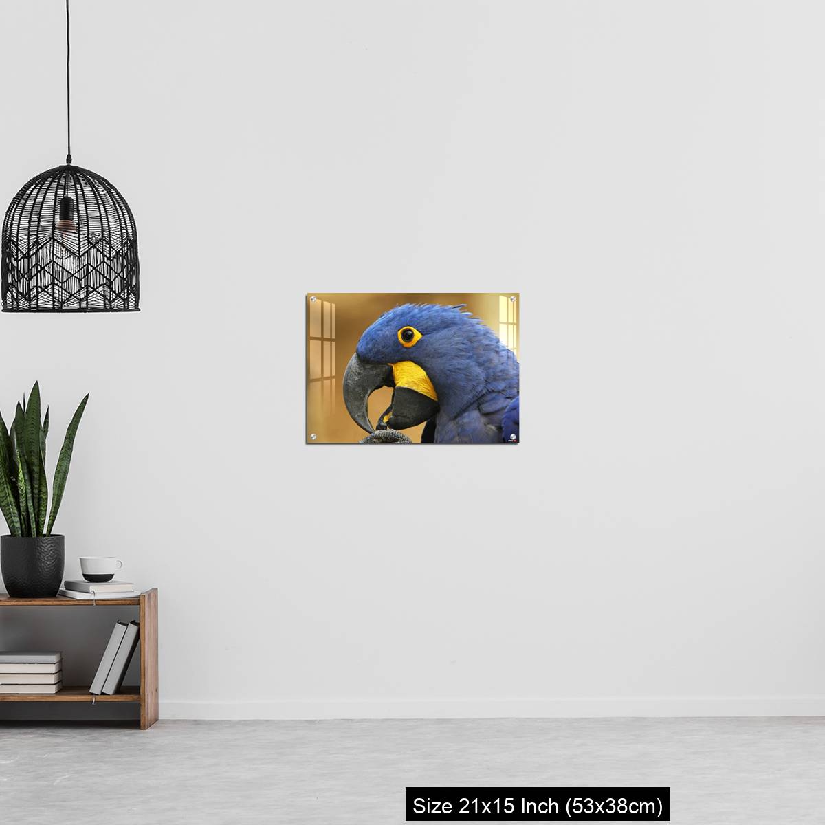OMGs Acrylic Wall Decor – Hyacinth Macaw, anodorhynchus hyacinthinus, portrait of Adult with open Beak - Image 20