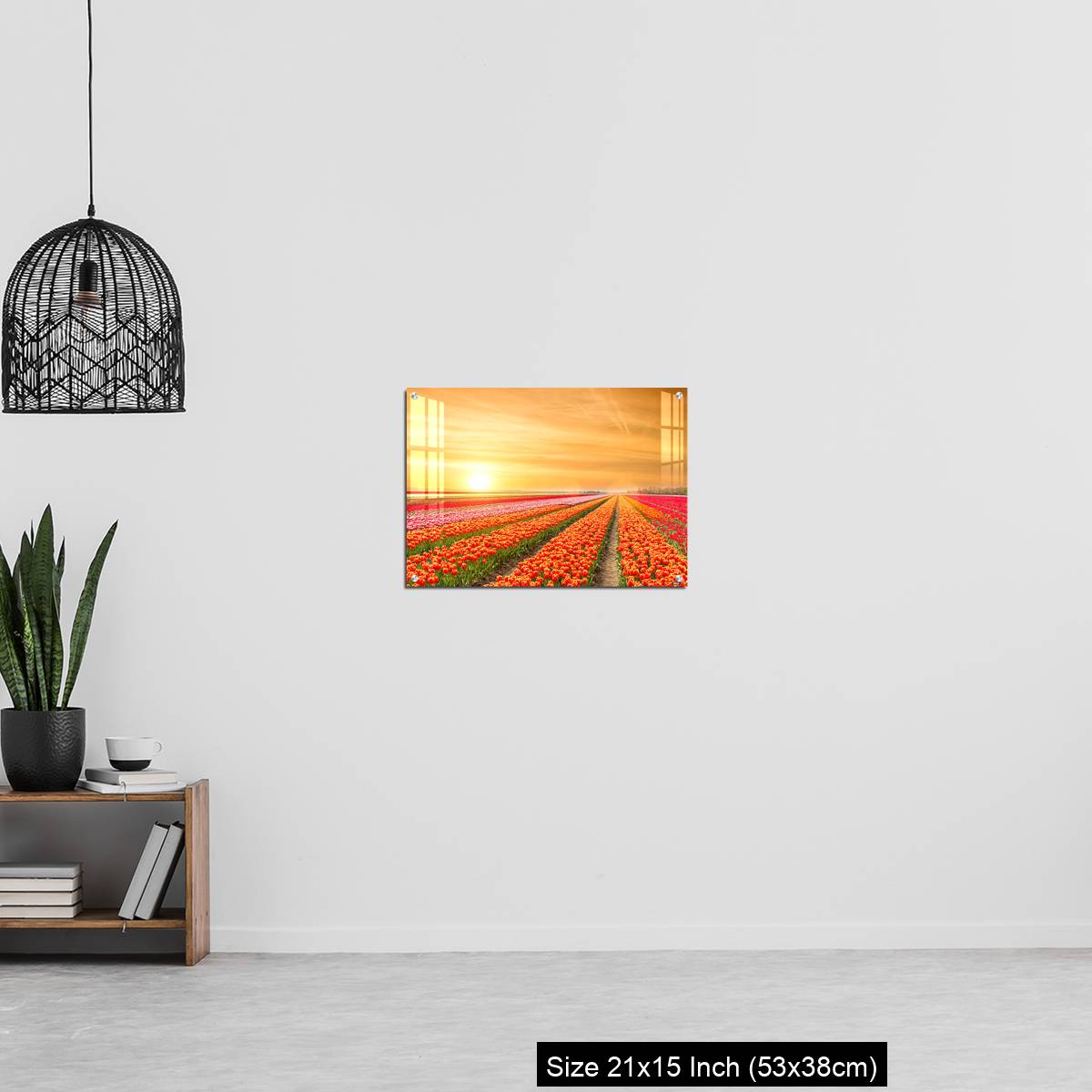 OMGs Acrylic Wall Decor – Landscape of Netherlands tulips with sunlight in Netherlands. - Image 20