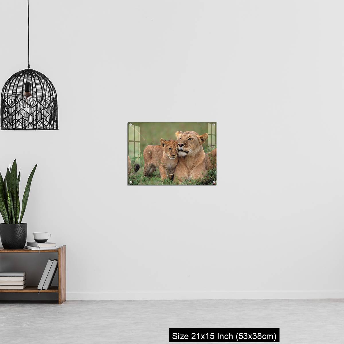 OMGs Acrylic Wall Decor – Lioness (Panthera leo) with cubs lying on grass, Kenya - Image 20