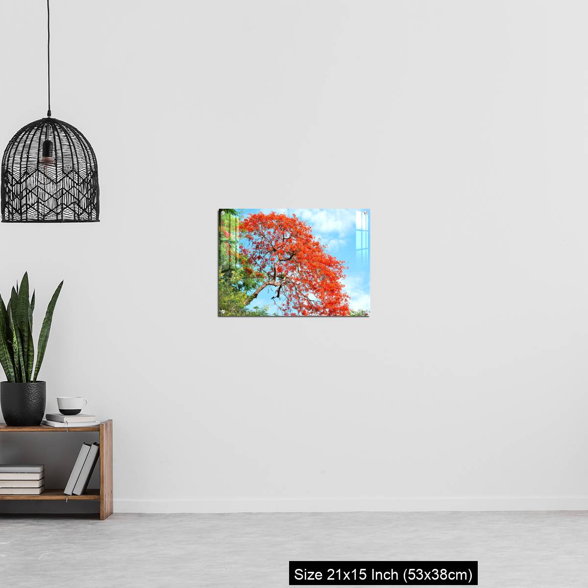 OMGs Acrylic Wall Decor – Gul Mohar tree in full bloom against a bright blue tropical sky in Mumbai, India. - Image 20