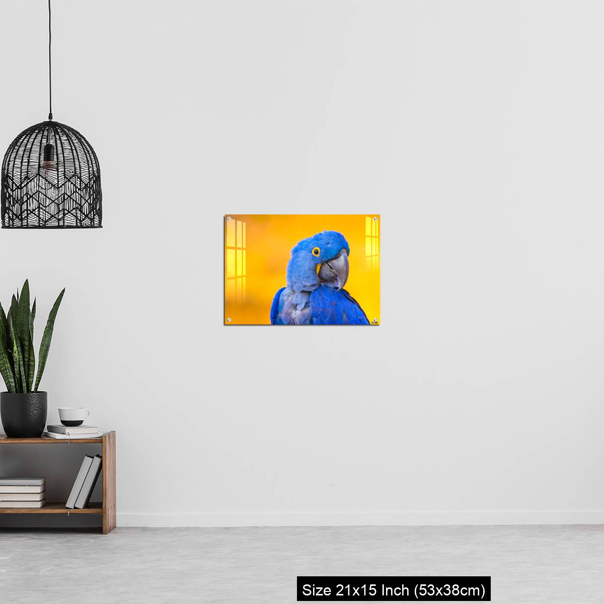 OMGs Acrylic Wall Decor – Portrait of big blue parrot Hyacinth Macaw - Image 20