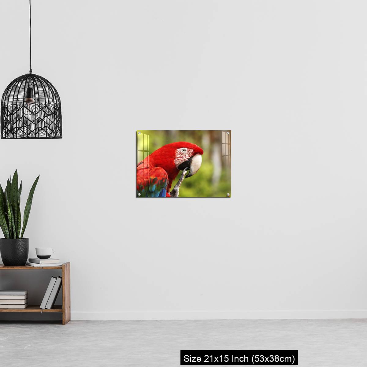 OMGs Acrylic Wall Decor – Red-and-Green Macaw, ara chloroptera, Portrait of Adult - Image 20