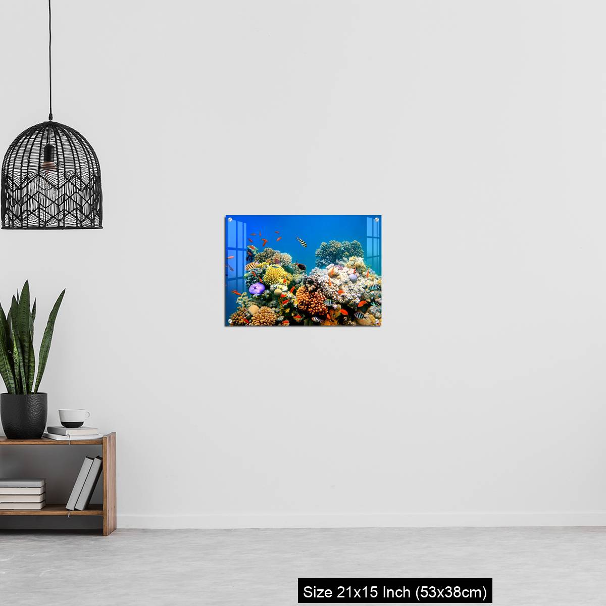 OMGs Acrylic Wall Decor – Tropical Fish on a coral reef - Image 20