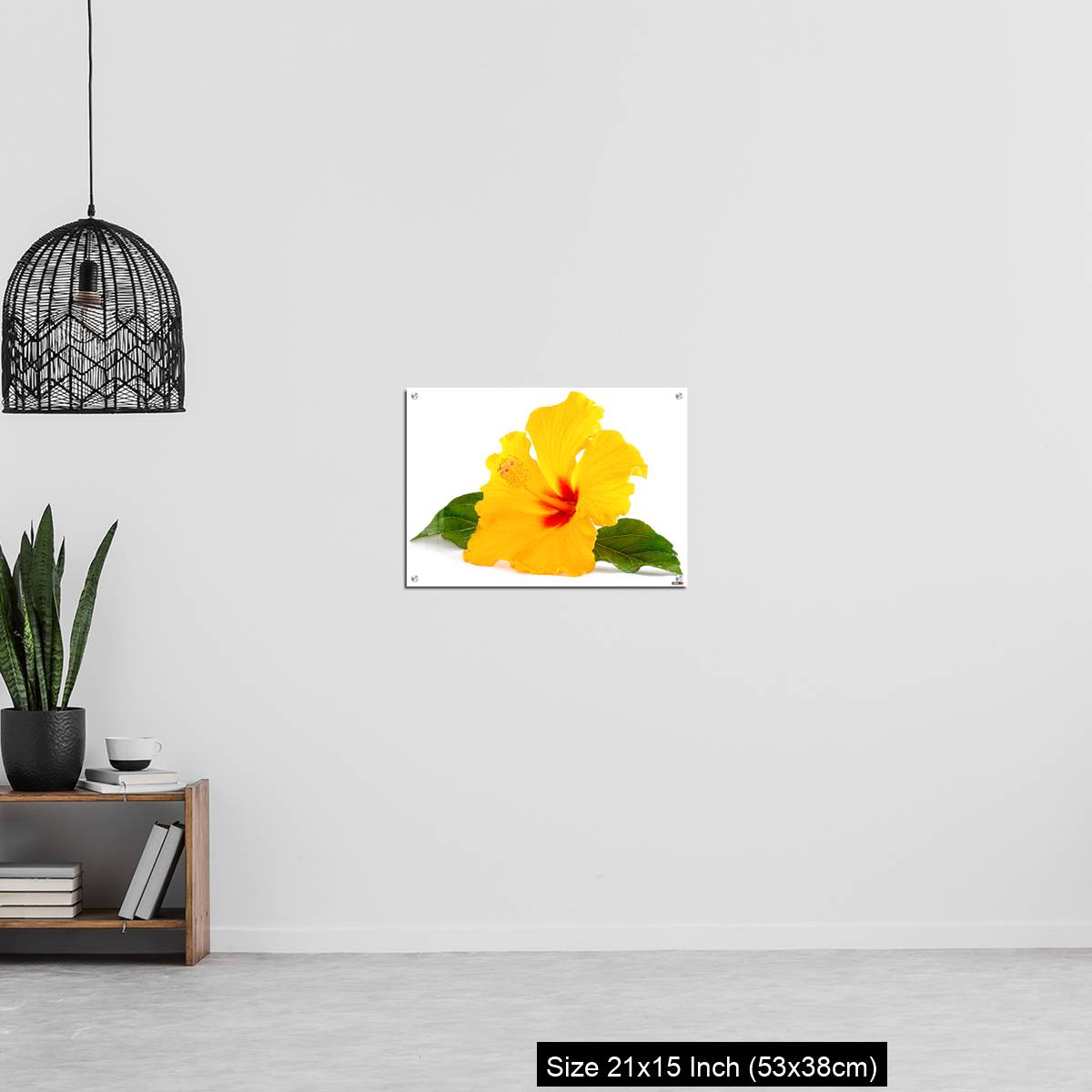 OMGs Acrylic Wall Decor – Tropical Yellow Hibiscus Flower isolated on white - Image 20