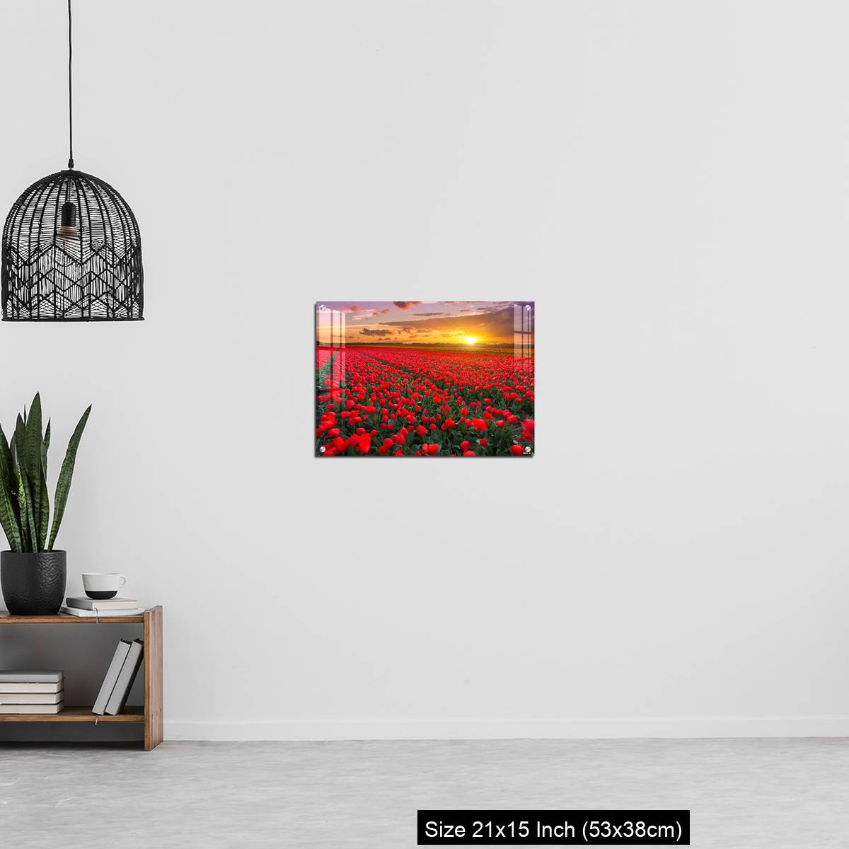 OMGs Acrylic Wall Decor – Tulip fields at sunset in the Netherlands - Image 20