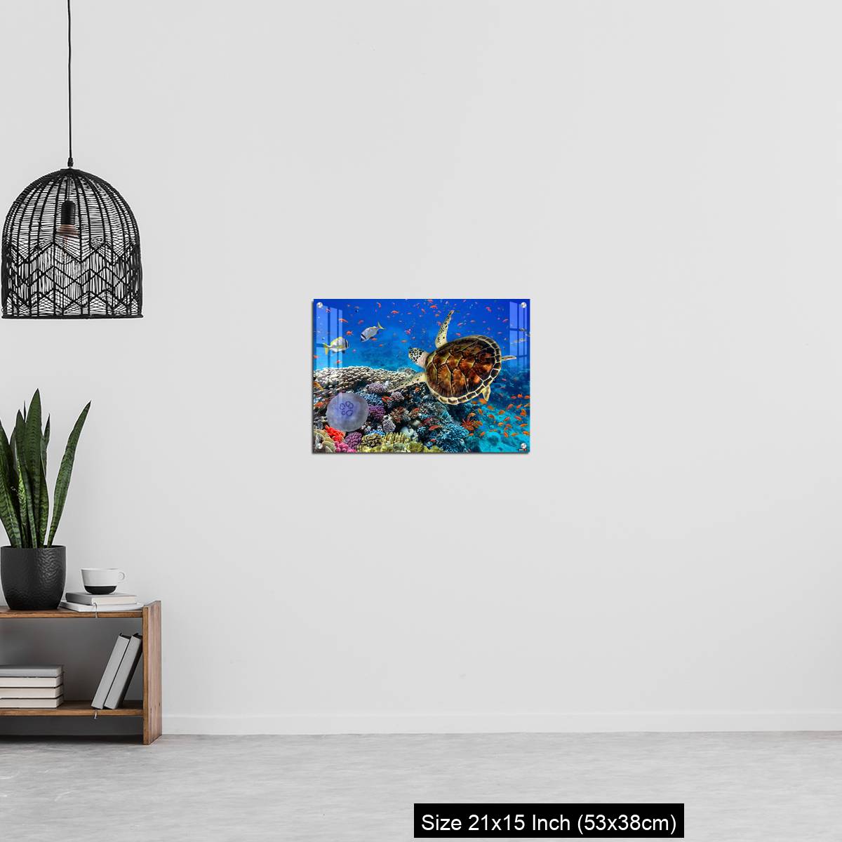 OMGs Acrylic Wall Decor – colorful coral reef with many fishes and sea turtle - Image 20