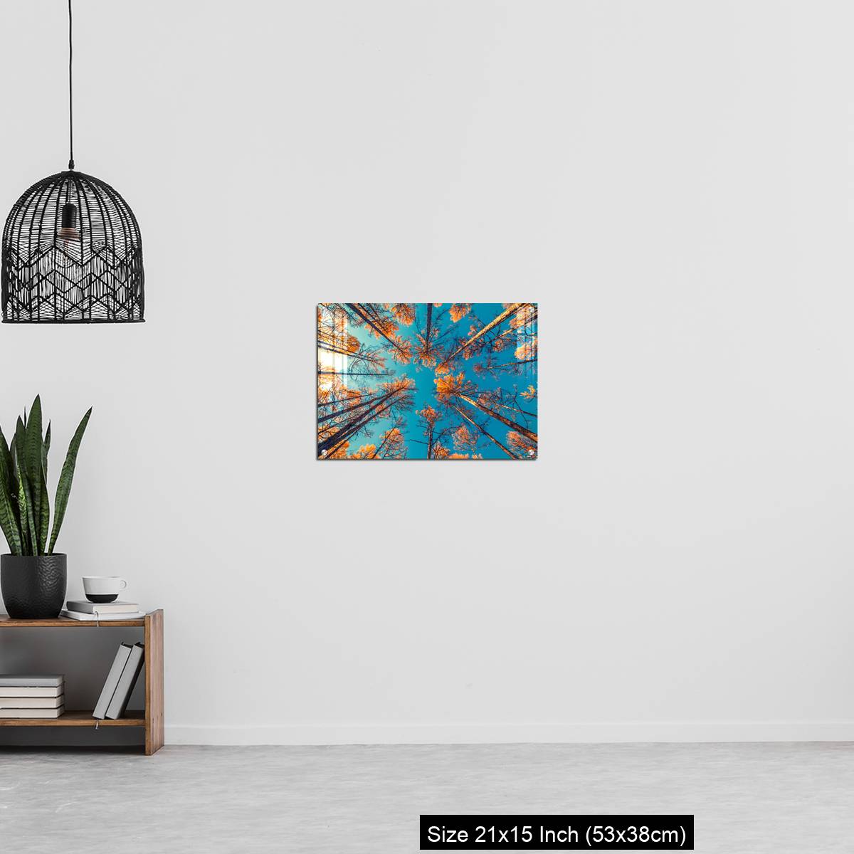 OMGs Acrylic Wall Decor – looking up at trees and clear blue sky - Image 20